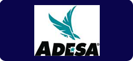 ADESA Auctions